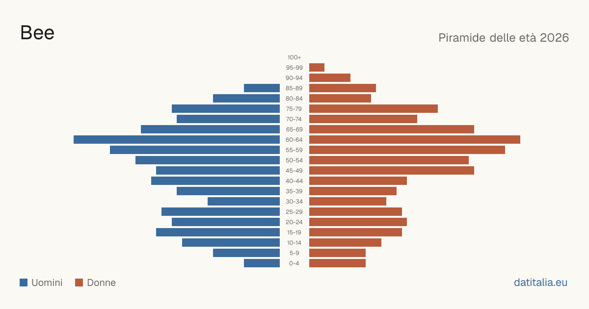 Population pyramid of Bee — DatiItalia