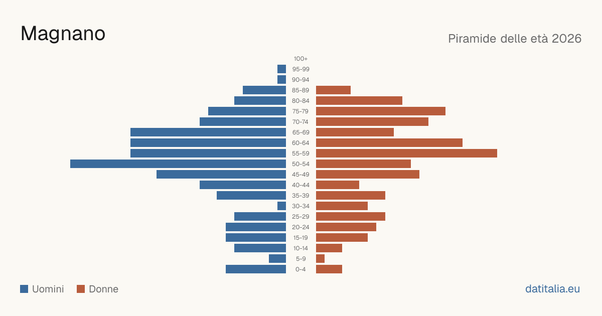 Population pyramid of Magnano — DatiItalia