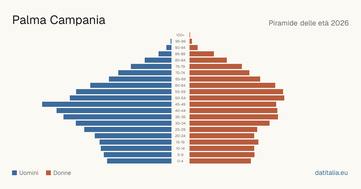 Population pyramid of Palma Campania — DatiItalia