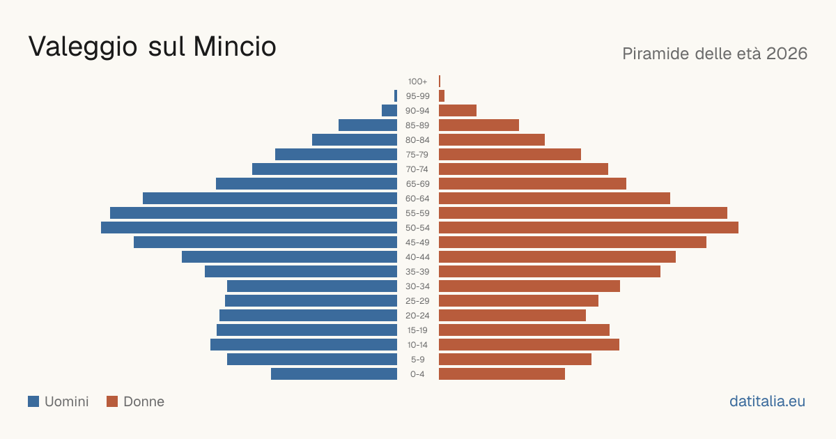 Population pyramid of Valeggio sul Mincio — DatiItalia