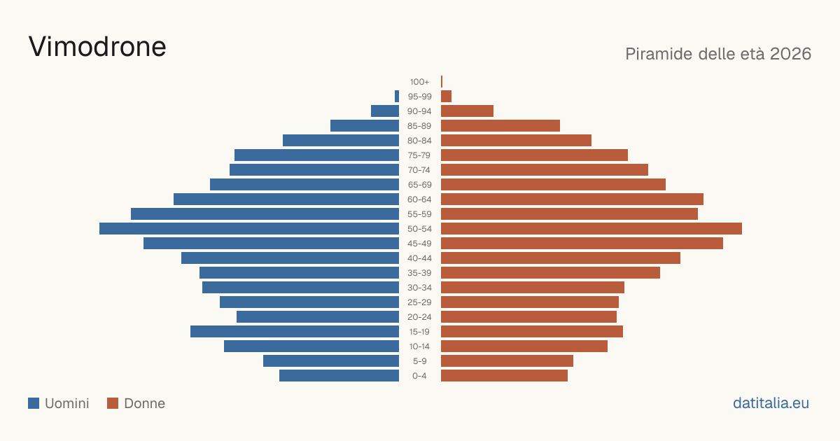 Population pyramid of Vimodrone — DatiItalia
